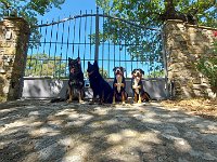 Shani und Freunde